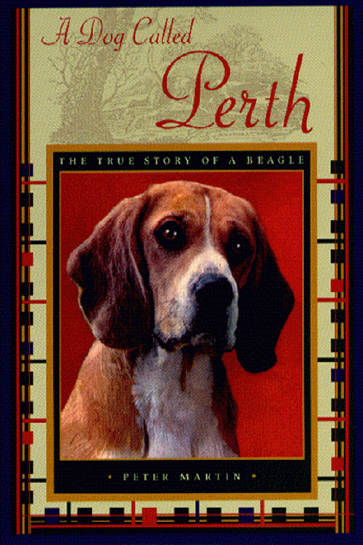 Cover image for A Dog Called Perth